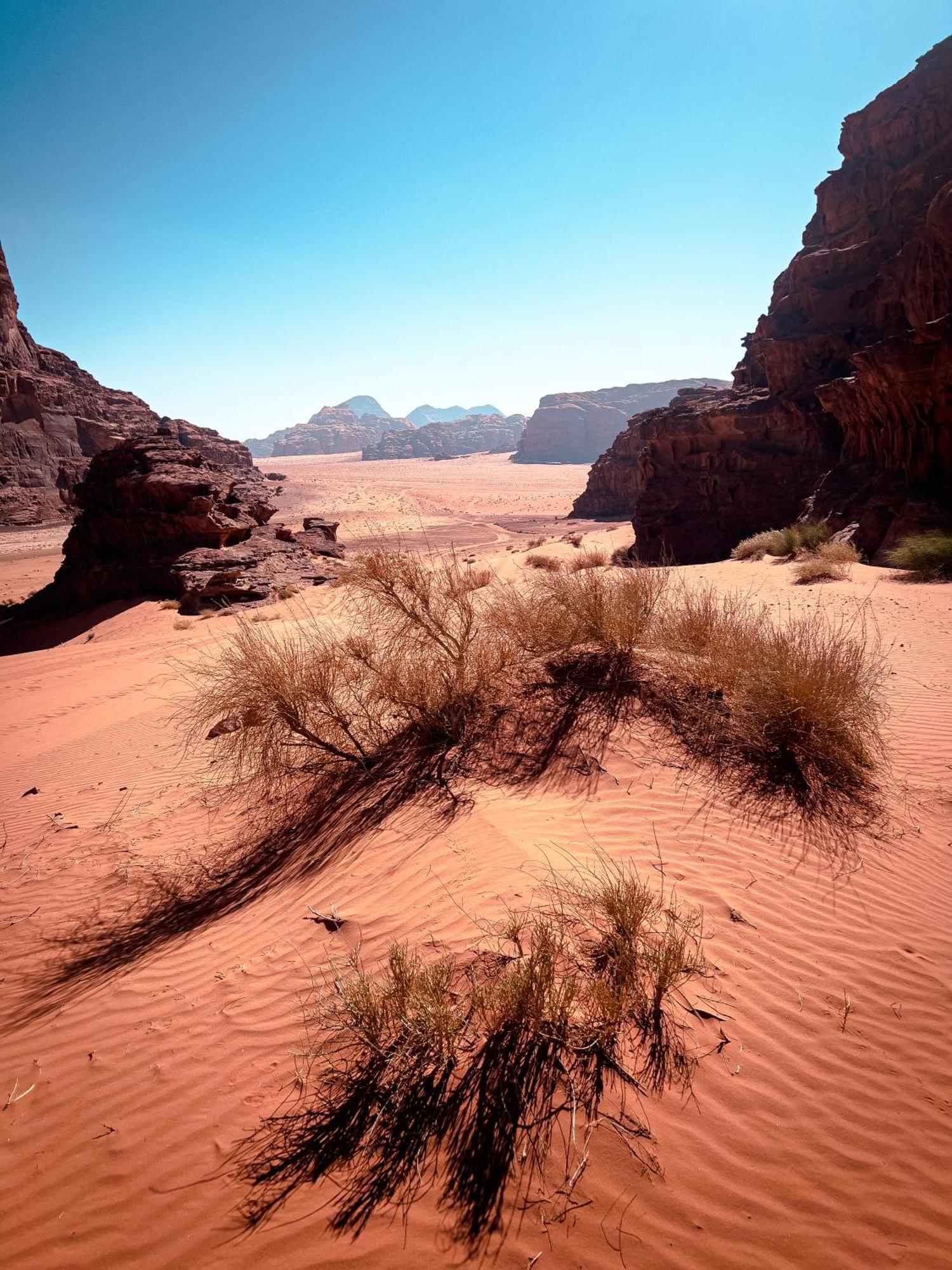 Stargazing Camp & Tours Hotel Wadi Rum Exterior photo