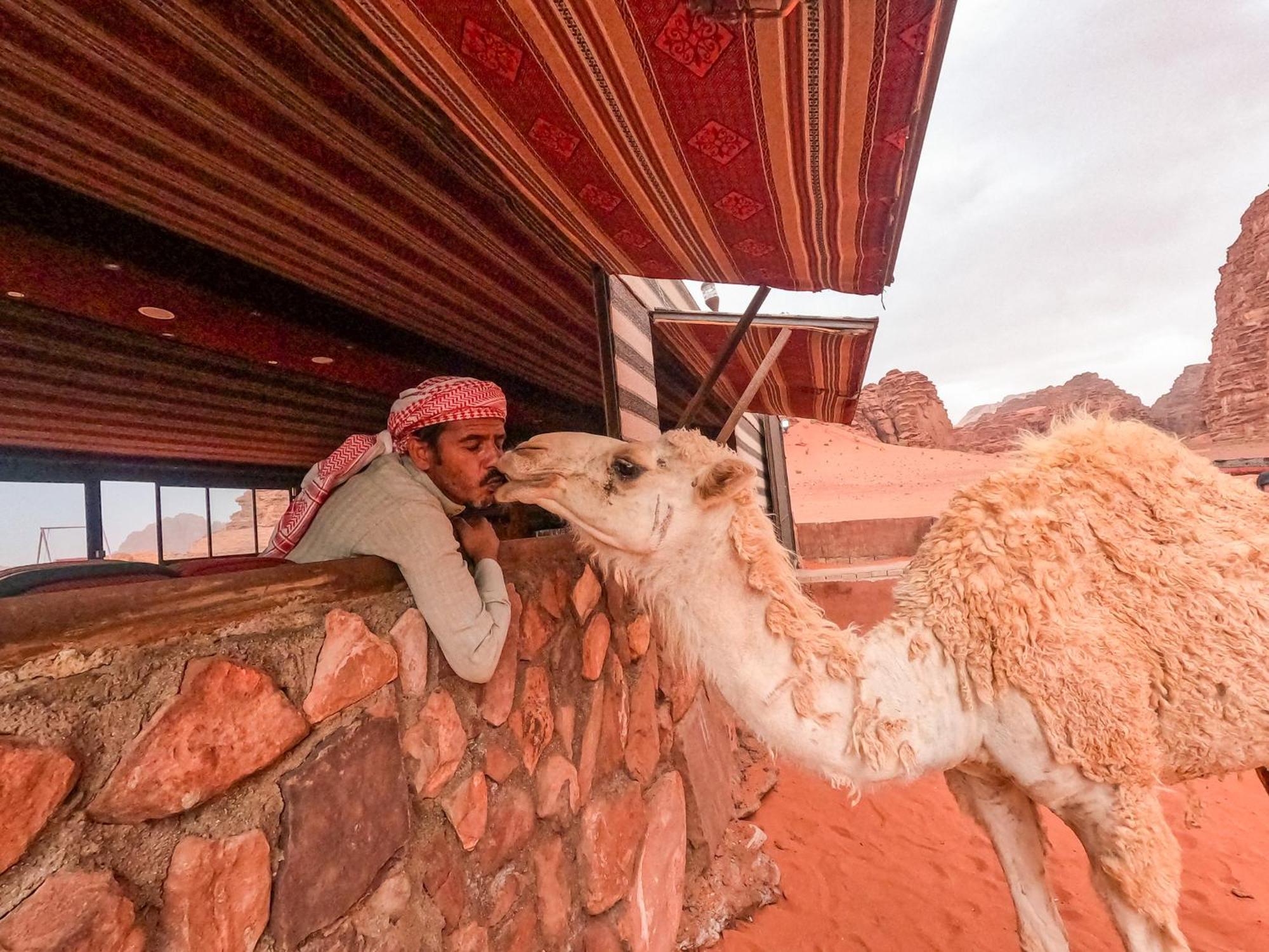 Stargazing Camp & Tours Hotel Wadi Rum Exterior photo