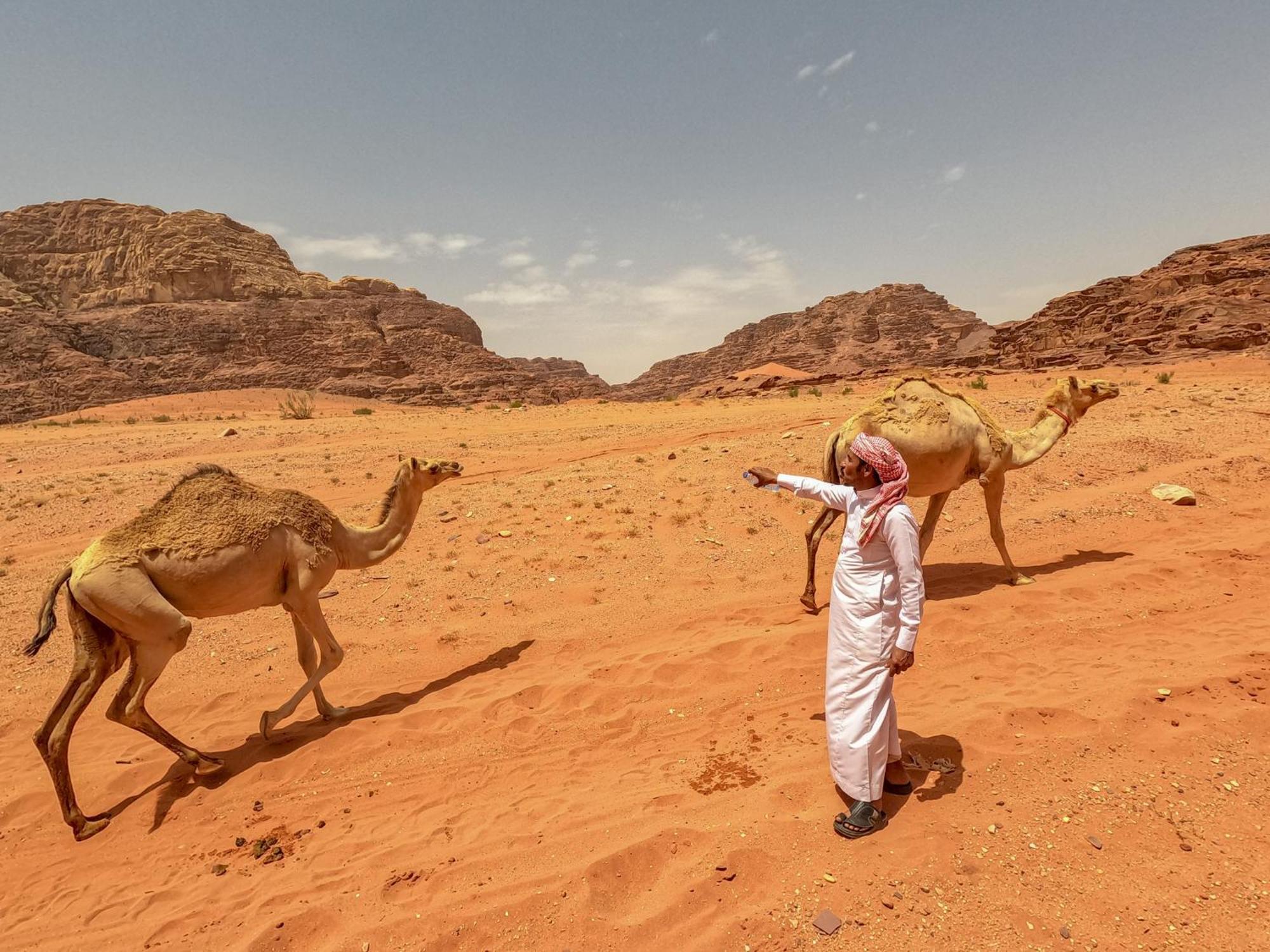 Stargazing Camp & Tours Hotel Wadi Rum Exterior photo