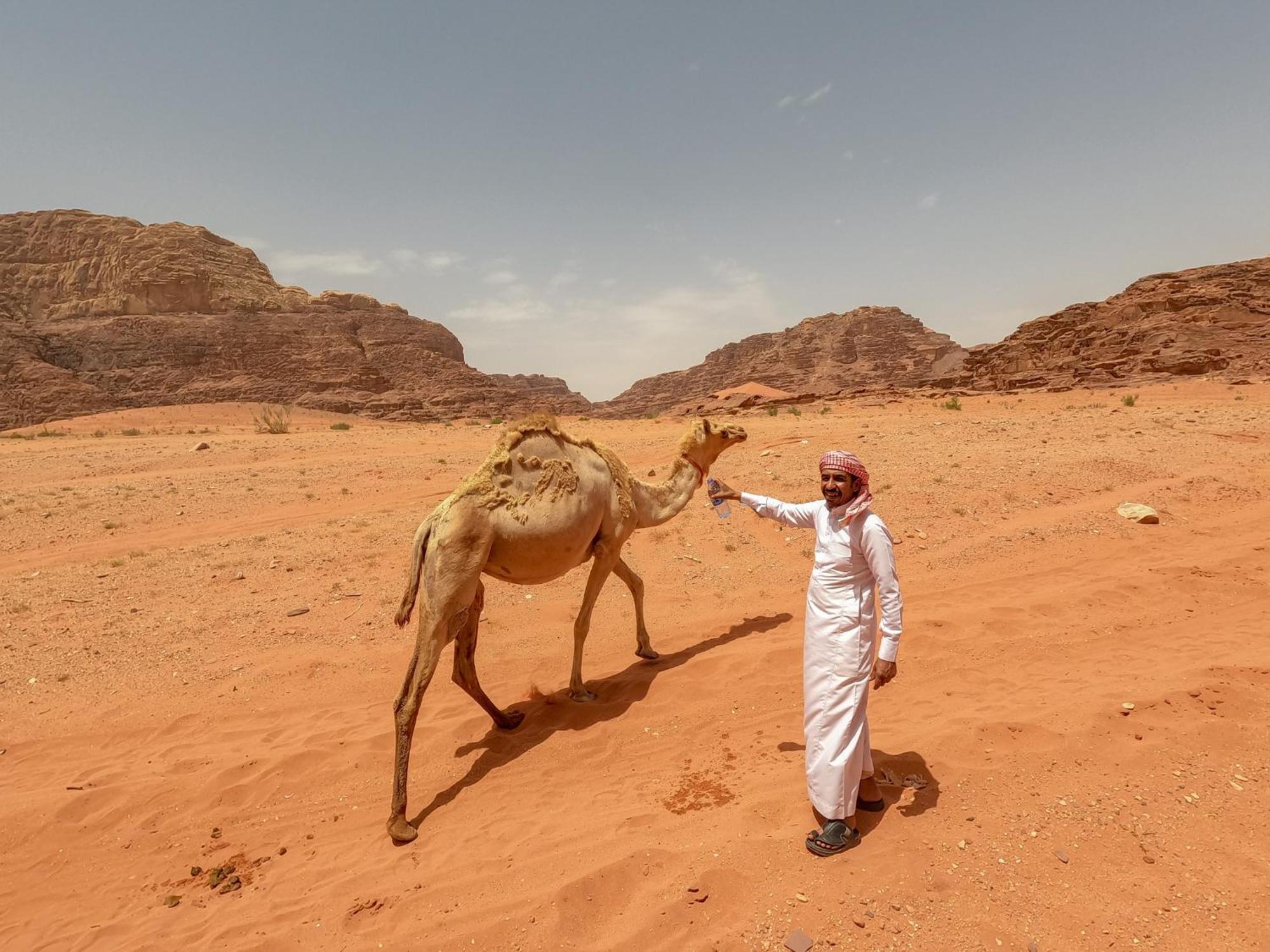 Stargazing Camp & Tours Hotel Wadi Rum Exterior photo