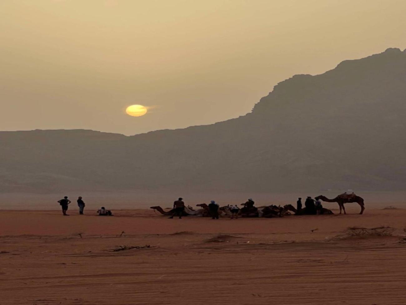 Stargazing Camp & Tours Hotel Wadi Rum Exterior photo